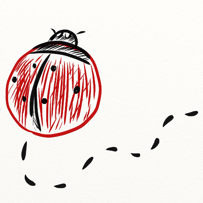 Disegno :: Cocci timida / Shy ladybug