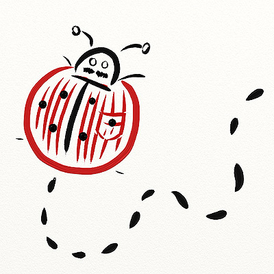 Disegno :: Coccinello / Male ladybug